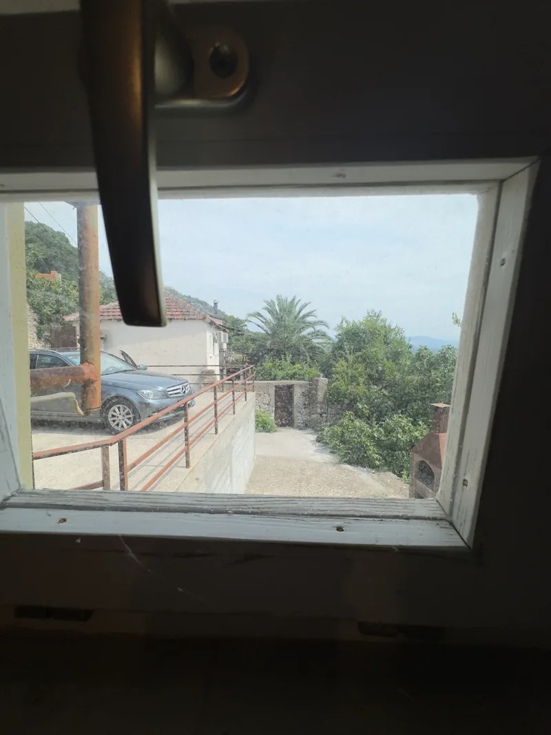 View from window toward the terrace, palm tree and Ljubuški valley